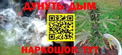 spice Славгород