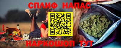 spice Славгород