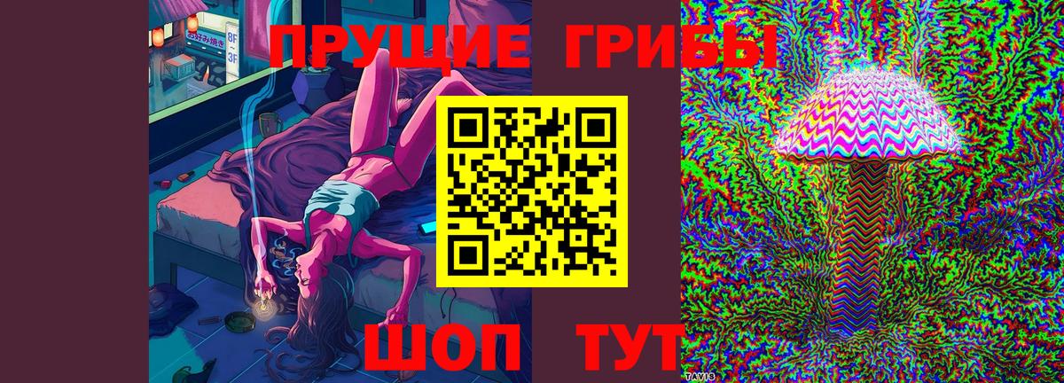 Славгород  Псилоцибиновые грибы прущие грибы  Псилоцибиновые грибы GOLDEN TEACHER  Вход с VPN 