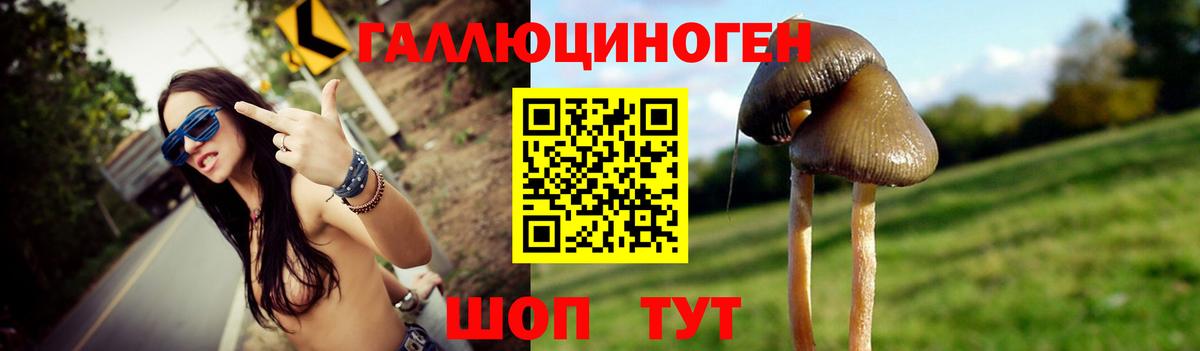Галлюциногенные грибы MAGIC MUSHROOMS Славгород